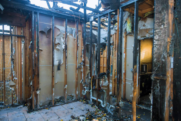 Professional Fire Damage Removal technician working in Estero, FL
