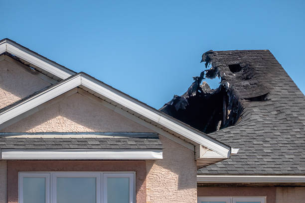 Top rated local Fire Damage Removal specialists in Estero, FL